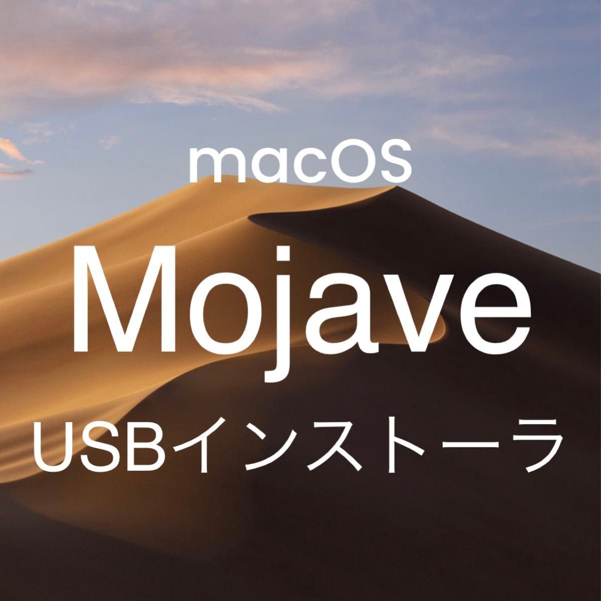 mac OS Mojave 10.14.6 インストールUSBメモリ 起動ディスク インストーラー
