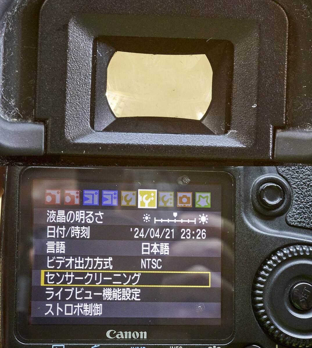 キヤノン EOS 40D (158) 27404ショット　キャップ／バッテリー／充電器付 最終ファーム 完全動作 撮影OK_画像5