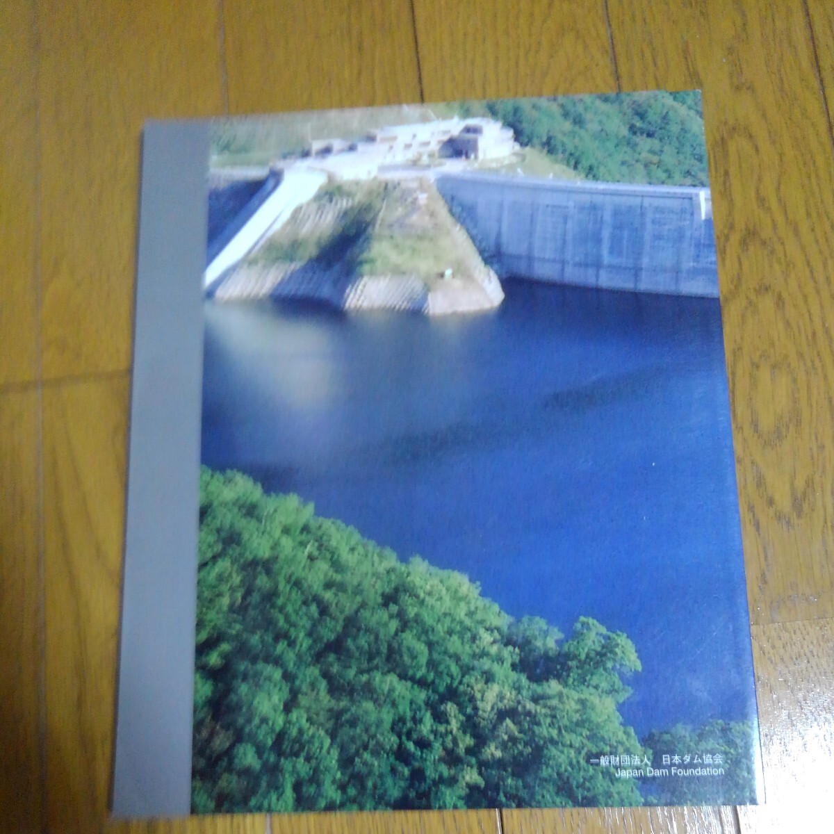  прекрасный японский dam 