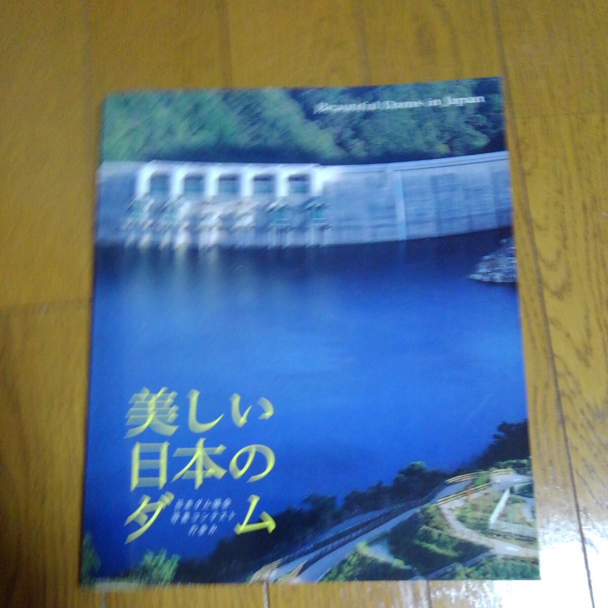  прекрасный японский dam 