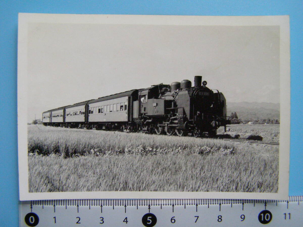 (1f404)560 写真 古写真 電車 鉄道 鉄道写真 蒸気機関車 まとめて 50枚 大量 たくさん SL_画像3