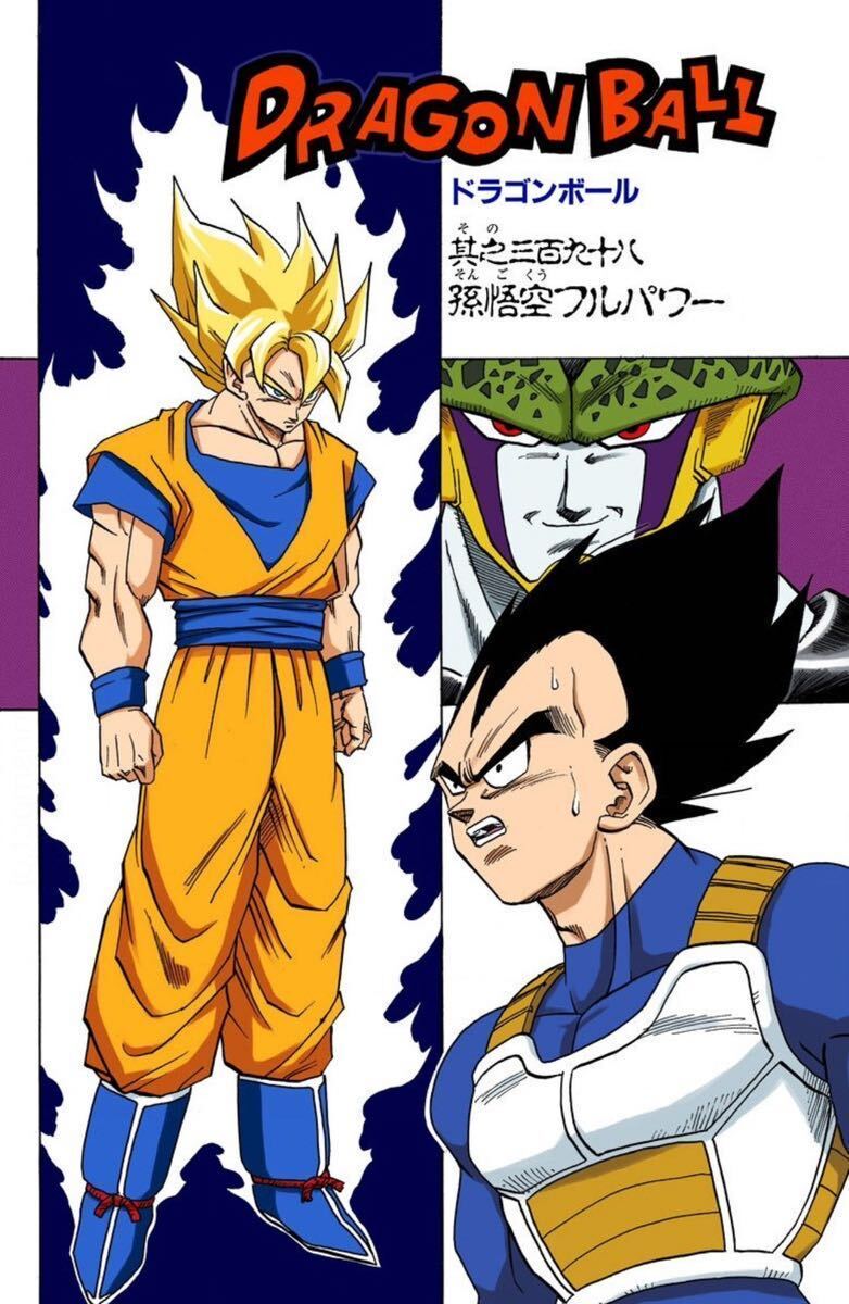 孫悟空 フルリペイント セル ドラゴンボール MSP フィギュア DRAGONBALL 一品物 ドラゴンボールZ セルゲームの画像2