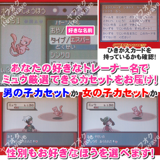 Bibian 比比昂 - ポケモンエメラルド ふるびたかいず トレーナー Bibian 比比昂 - ポケモンエメラルド ふるびたかいず トレーナー