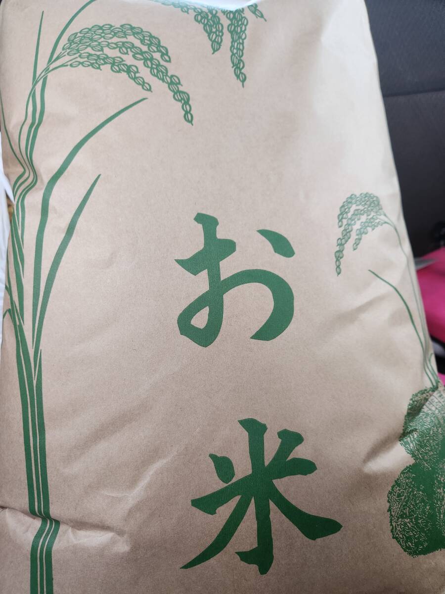 【送料無料】コシヒカリ(令和5年福島県産)玄米10kg の画像1