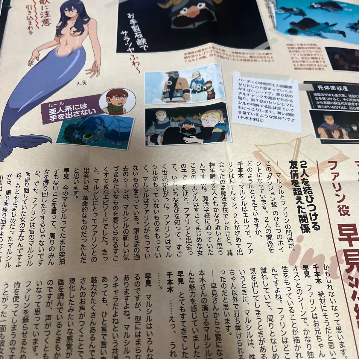 ダンジョン飯　ガイド　Ｐ10 雑誌切り離し_画像6