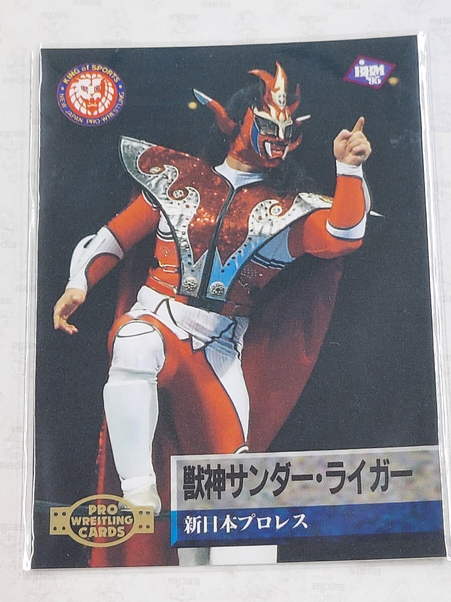 BBM1995 プロレスカード  獣神サンダーライガーの画像1