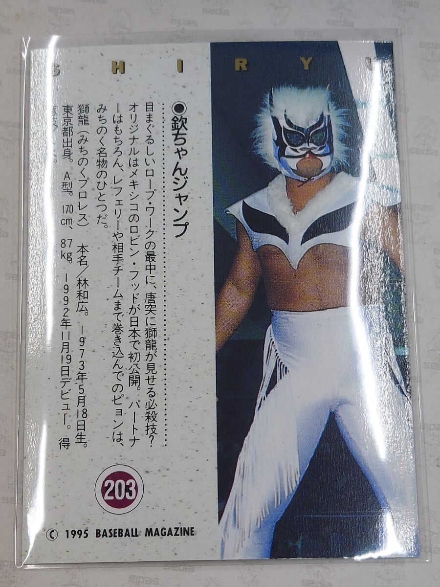 BBM1995プロレスカード 　技カード　獅龍　欽ちゃんジャンプ_画像2