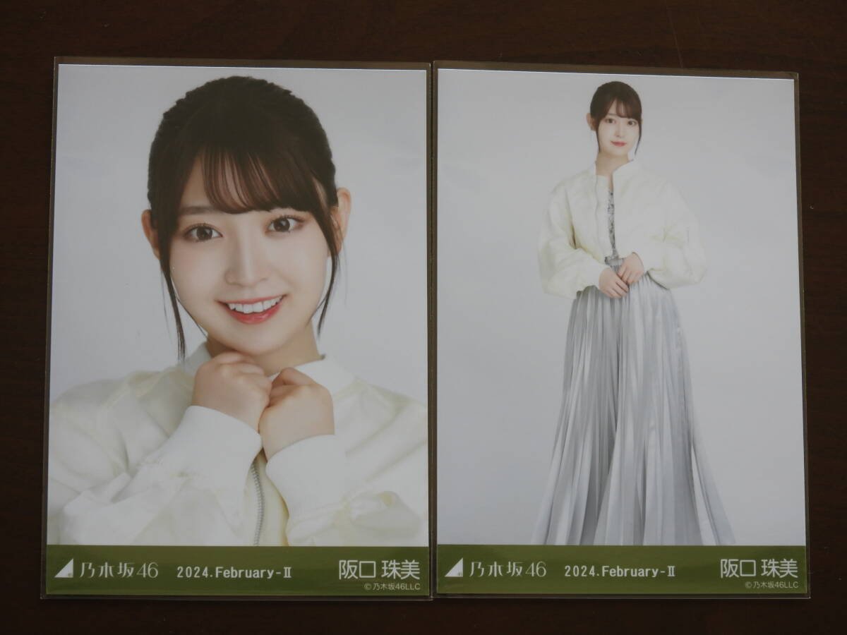 乃木坂46　阪口珠美　Webshop限定　2024年2月度生写真　MA-1×スカート　ヨリ・ヒキ_画像1