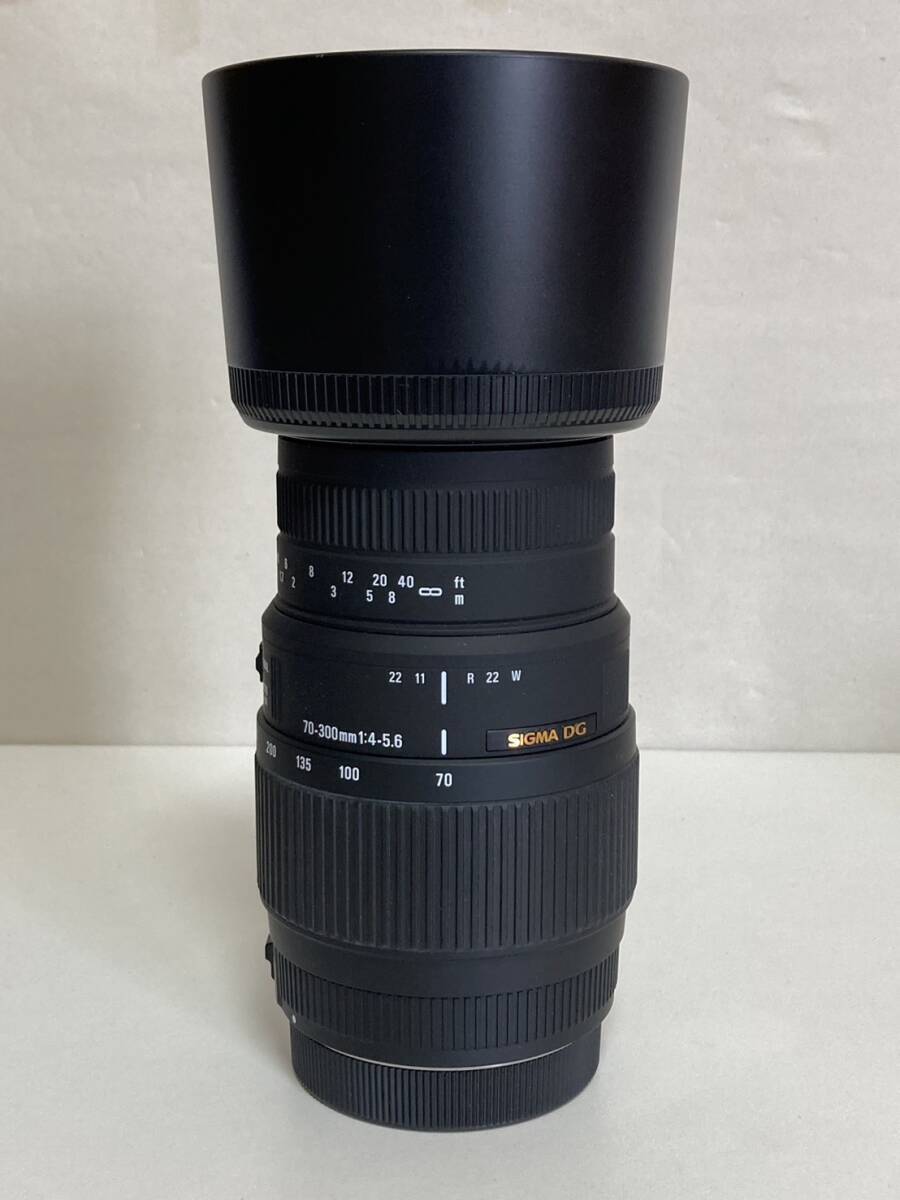 SIGMA 70-300mm F4-5.6 DG MACRO Canon キヤノン用 ズームレンズ