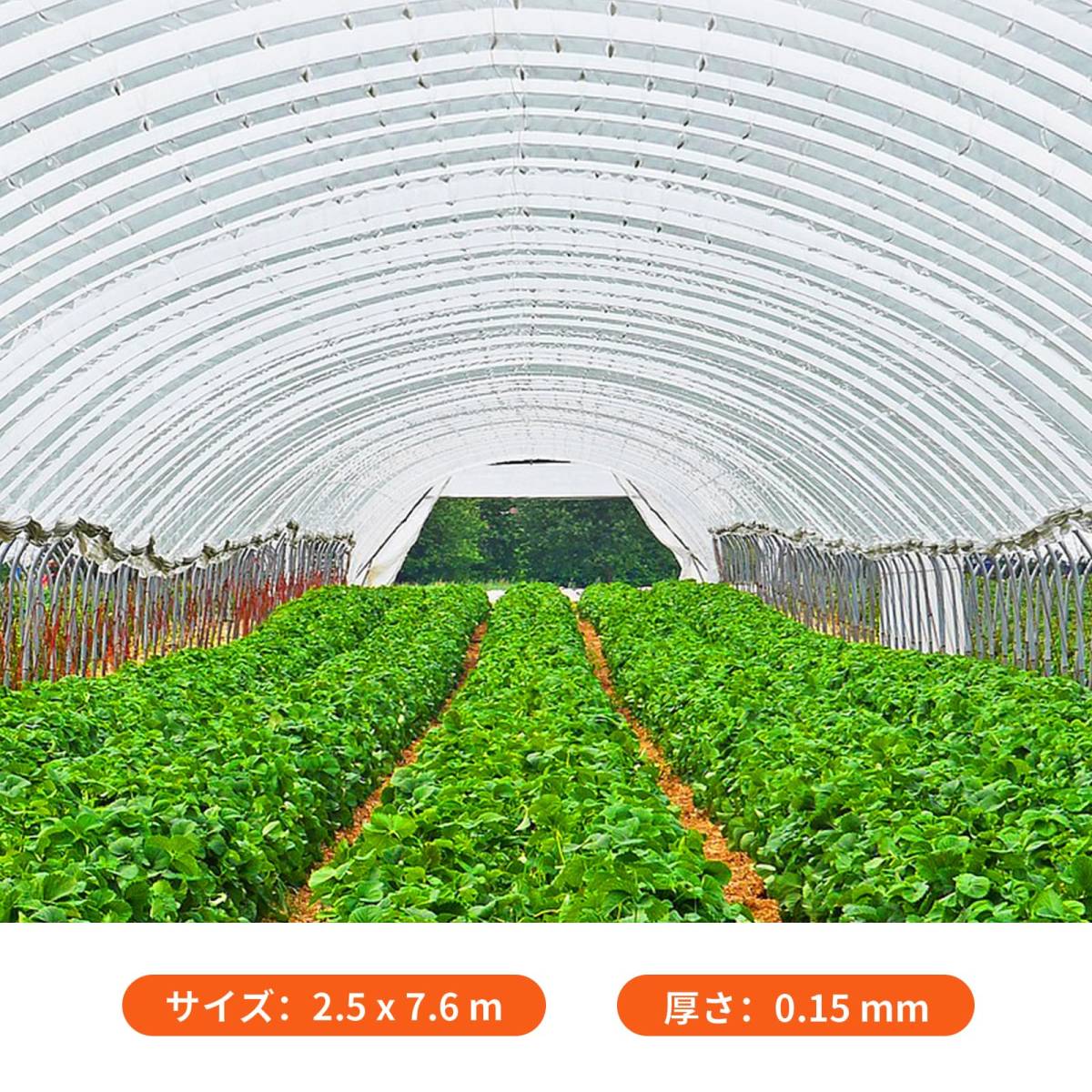 #8398D[ new goods *3.6*8.5m] plastic greenhouse vinyl seat transparent 0.15mm greenhouse change cover plant cultivation gardening for .. plastic greenhouse flower . greenhouse agriculture 