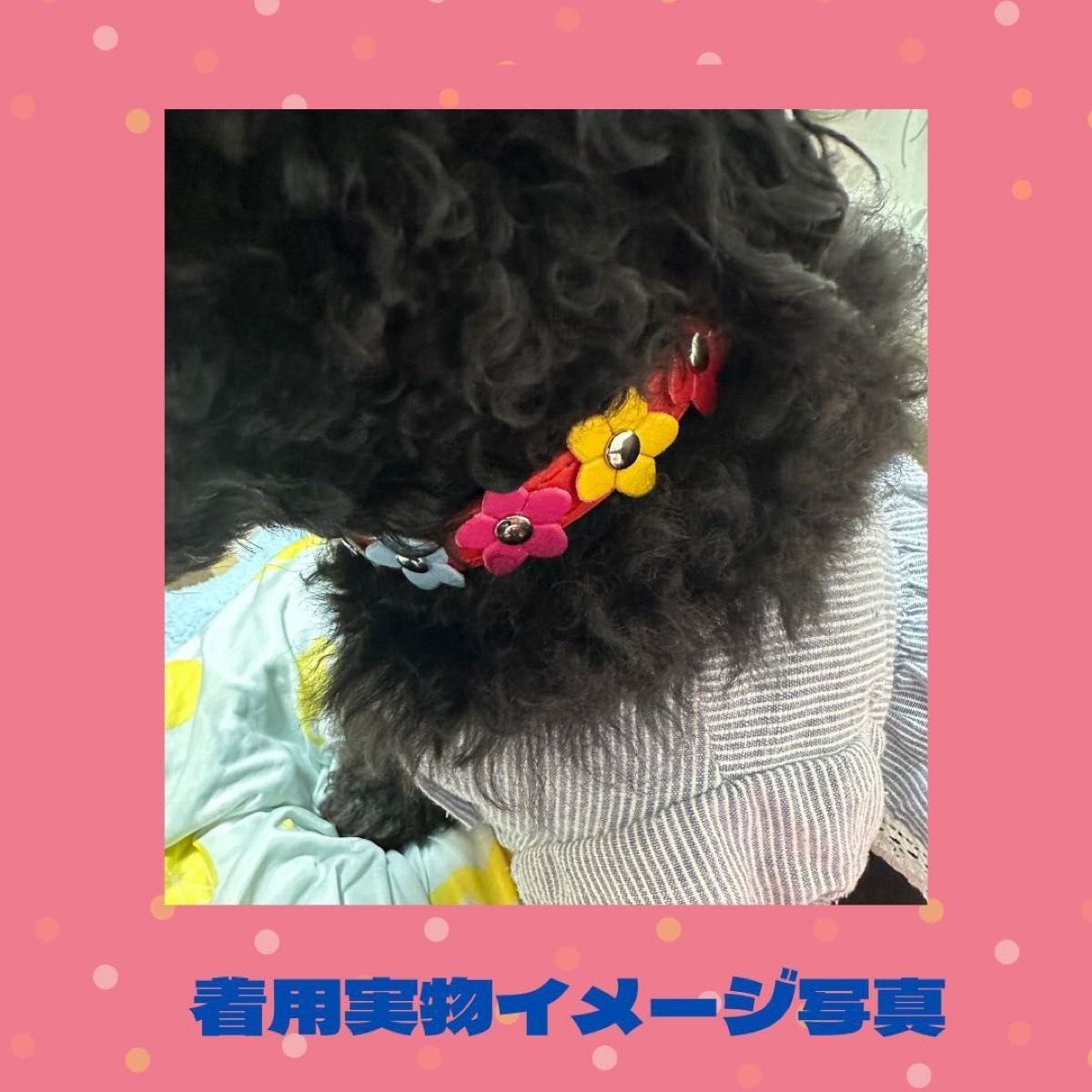 ★セール★ さくら模様 首輪 花 カラフル 可愛い 犬 猫 さくらピンク Mサイズ