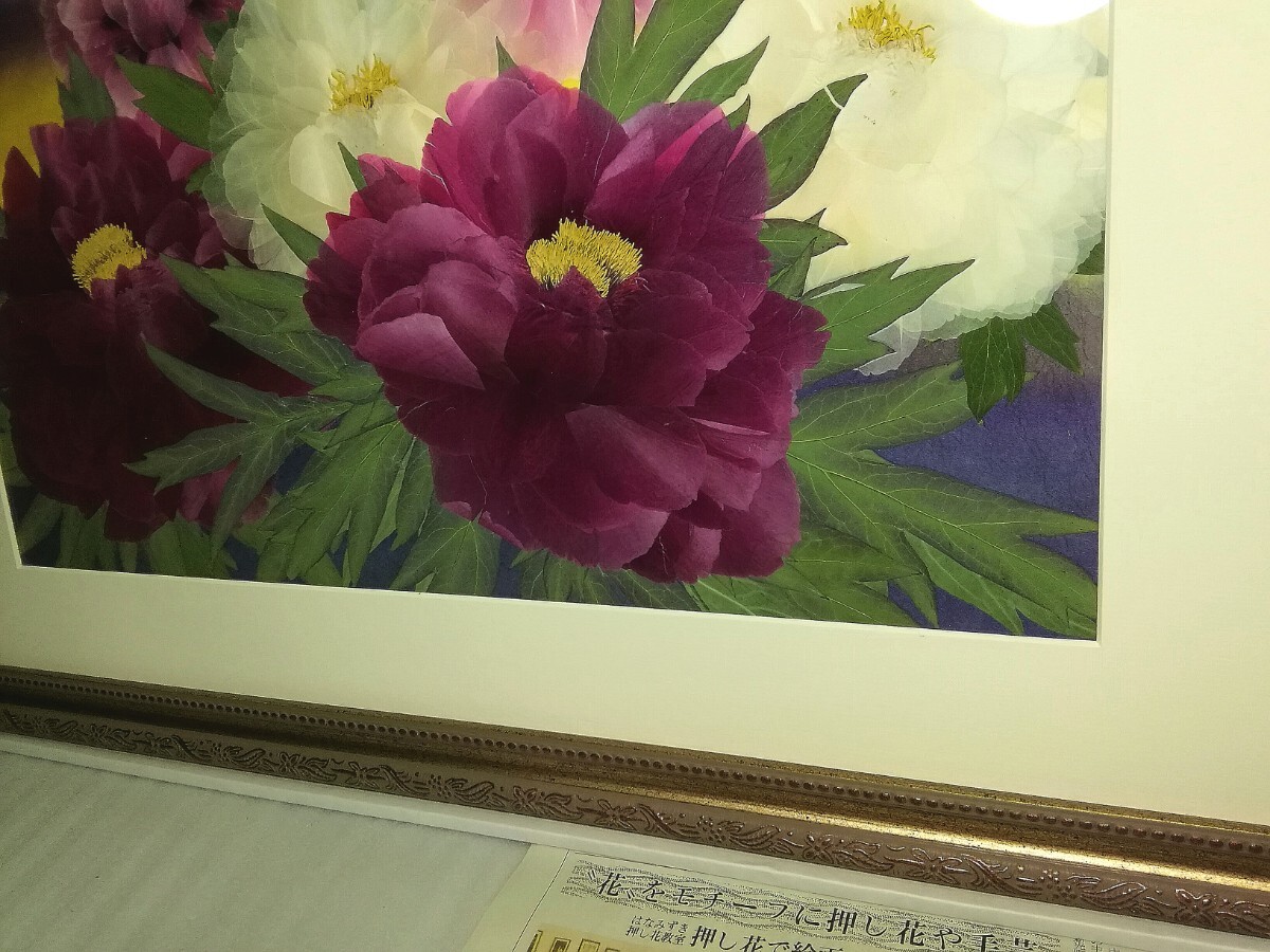 fu... flower club pressed flower . amount Niigata prefecture ... button . practical use did work [...] frame / picture frame (60 antique Gold amount ) pressed flower ①①