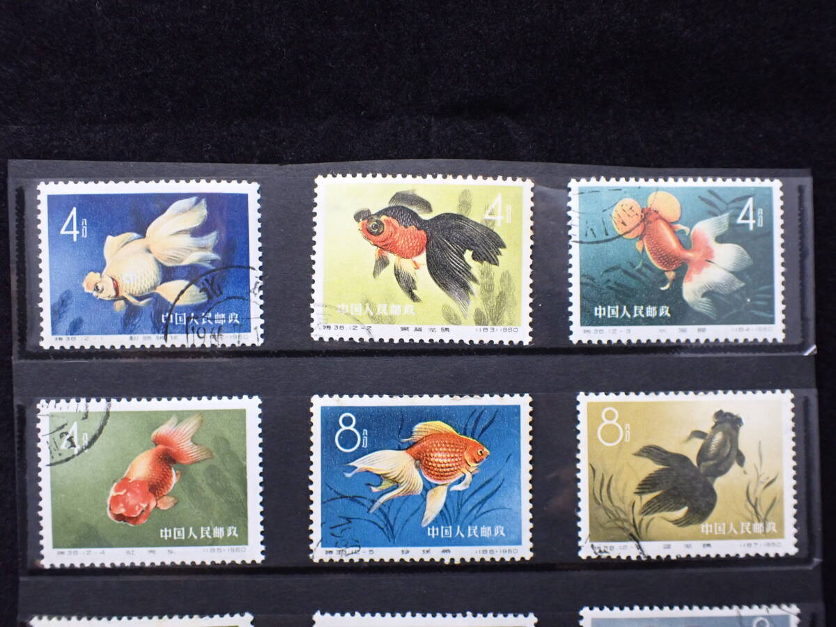 ◆希少◆中国切手 1960年 特38 金魚シリーズ 12種完 注文消◆の画像2