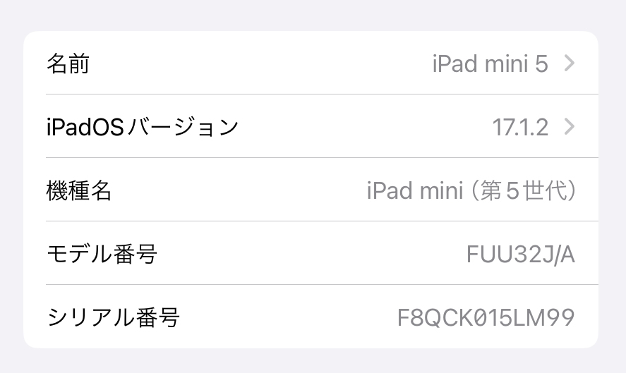 Apple iPad mini 第5世代 Wi-Fi 256GB スペースグレイ_画像5