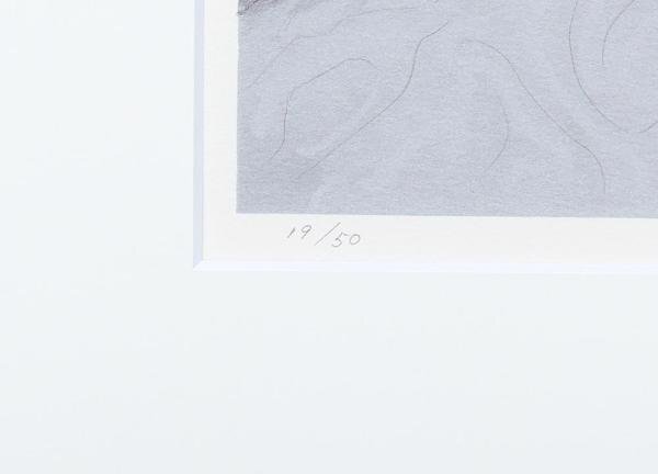 【真作】【WISH】加山又造「裸婦 '95-A 紫」リトグラフ 約10号 1995年作 直筆サイン 証明シール   〇文化勲章 文化功労者 #24042945の画像7