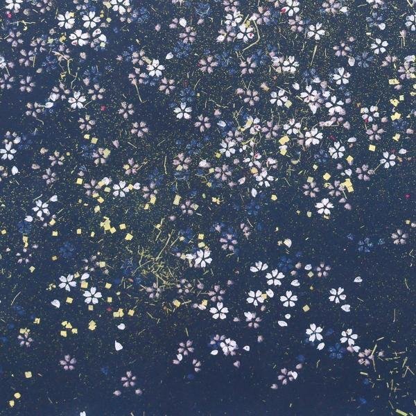 【真作】【WISH】市川克巳「夜桜」日本画 約8号 金箔仕様 共シール #24032387の画像5