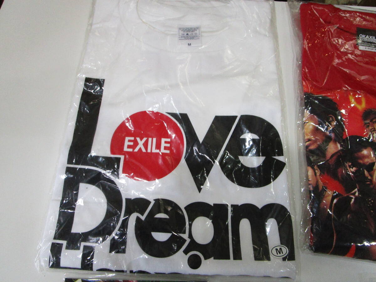 EXILE CD Ｔシャツ EX BEAR AKIRA HiGH&LOW キーホルダー OKAXILE S LDH 日本を元気に M 小林直己 山下健二郎 関口メンディー ELLY USA_画像2