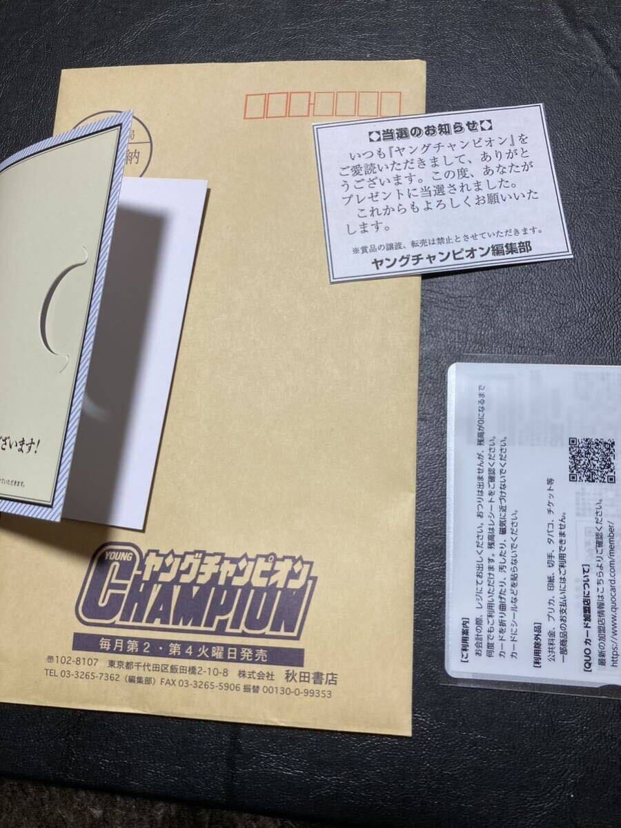 桃月なしこ　別冊ヤングチャンピオン　抽プレ　クオカード　送料無料_画像2