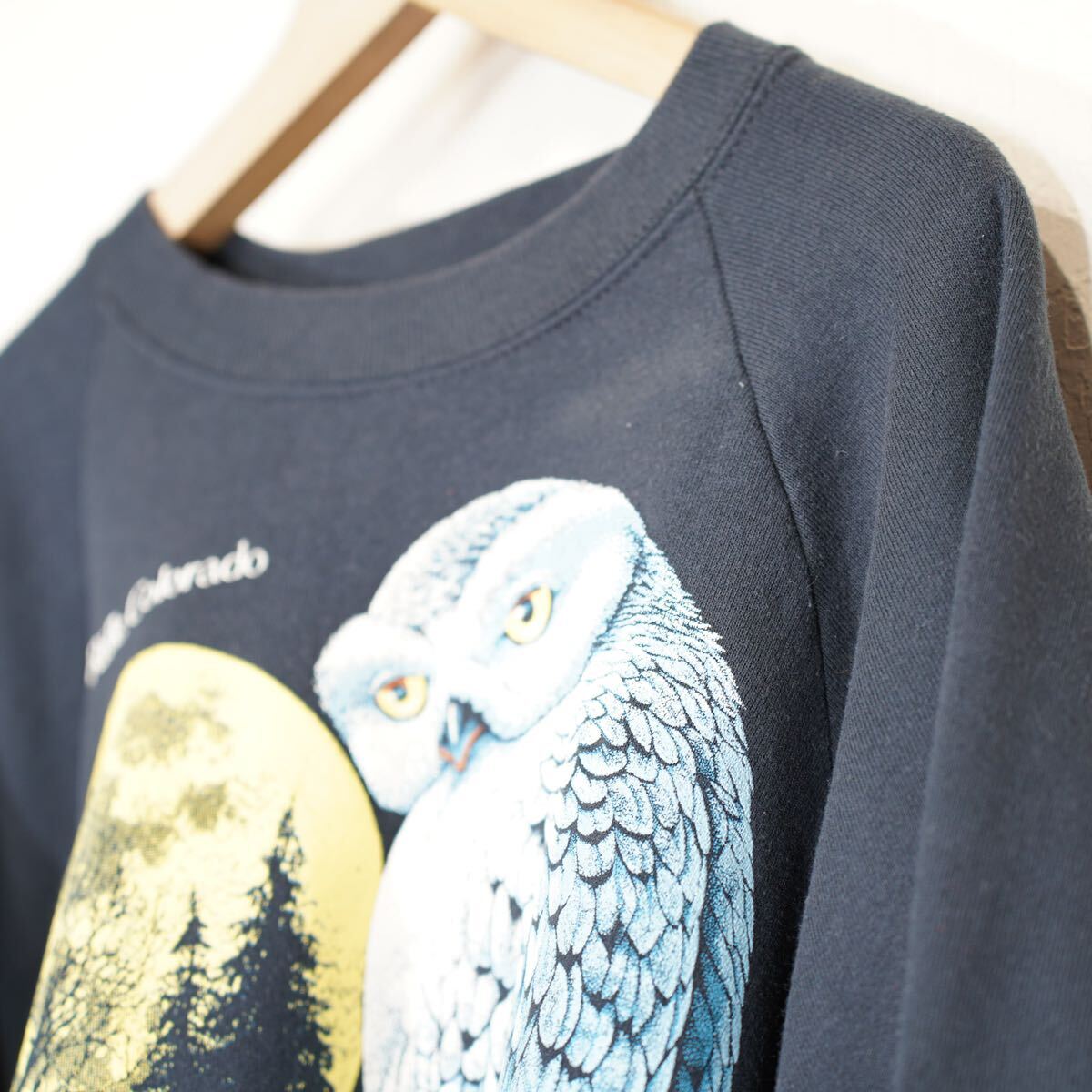 USA VINTAGE FRUIT OF THE LOOM OWL&MOON PRINT DESIGN SWEAT SHIRT/アメリカ古着月とフクロウプリントデザインスウェット