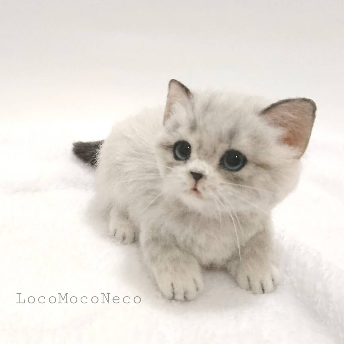 LocoMocoNeco 羊毛フェルト 猫 マンチカンの子猫 (スフィンクス座り) ハンドメイド リアル ドール インテリア ろこもこねこの画像1