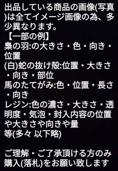 １個≪3号～27号 希望サイズ発送≫白蛇の指輪お守り【天赦日ご祈祷済】御神環 メモリーオイル 白蛇の抜け殻 リング 脱け殻 第7チャクラ 22