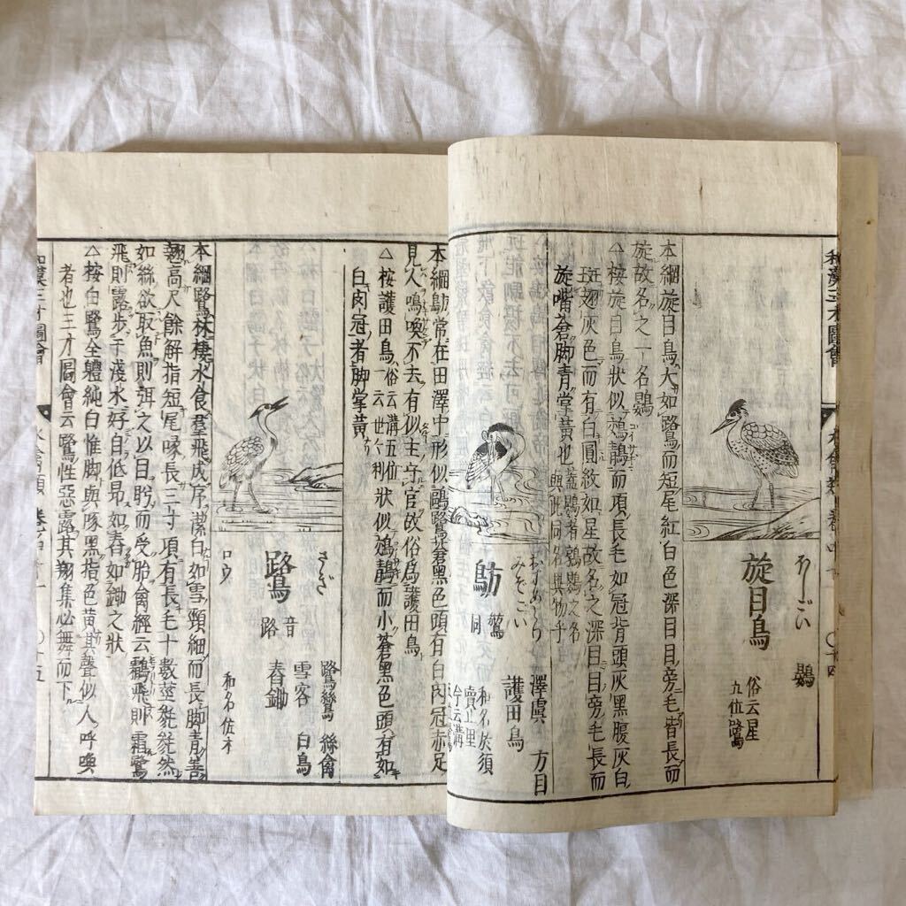 古書 倭漠三才圖會 和漠三才圖會 の画像5