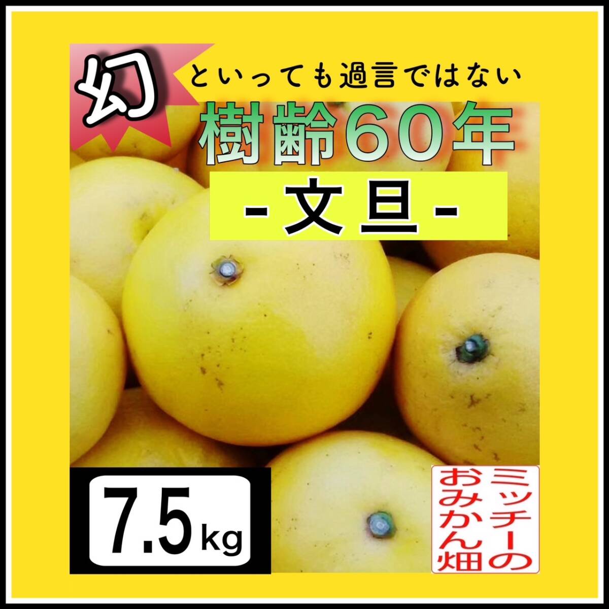 【四国 九州 本州のお客様用】 《訳あり》ぶんたん土佐文旦フルーツ果物くだもの果実みかん柑橘《文旦／えひめ産》の画像1