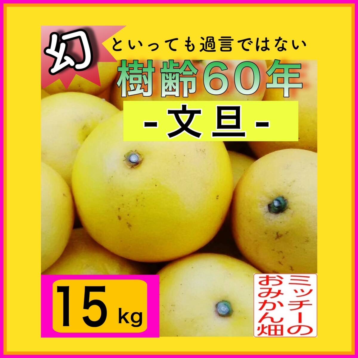 【四国 九州 本州のお客様用】《訳あり》ぶんたん 土佐文旦フルーツ果物くだもの果実みかん柑橘《文旦／えひめ産》_画像1