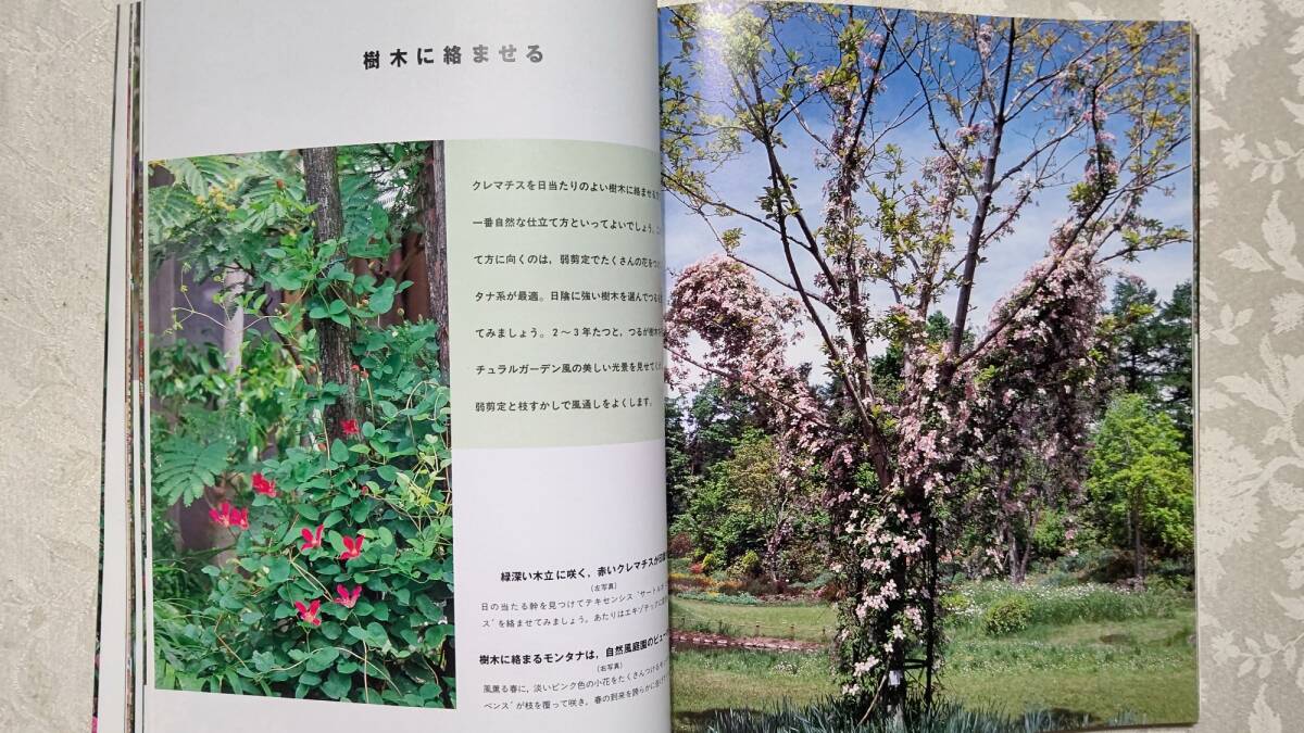 カバー付き本　NHK趣味のガーデニング21 つる植物のガーデニング　1999年5月15日発行_画像6