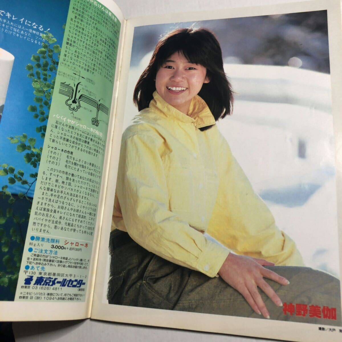 ぽこ・あ・ぽこ 昭和59年 1984年4月号 Vol.176 菊池桃子 岡田有希子 渡辺典子 松本伊代 石川秀美 ほか 昭和アイドル 雑誌 ぽこあぽこ の画像10