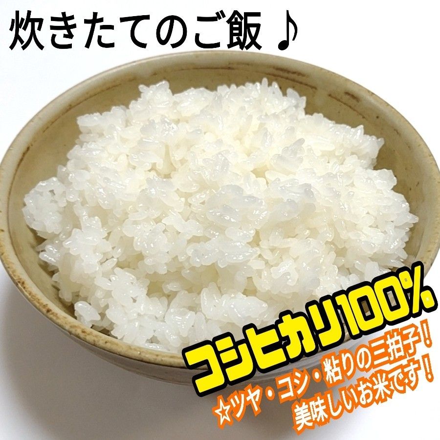 【数量限定！特別限定価格】令和5年産 茨城県産 新米 コシヒカリ 玄米 24Kg 24キロ