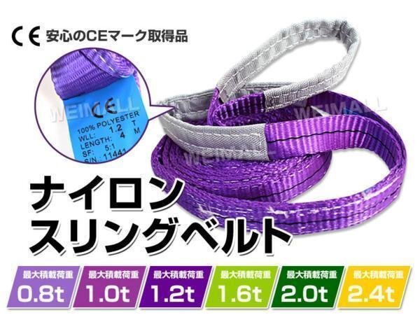 10本セット ナイロンスリングベルト ベルトスリング スリングベルト 1000kg 荷上げ 耐荷重 1t × 2m 幅 25mm_ナイロンスリングベルト