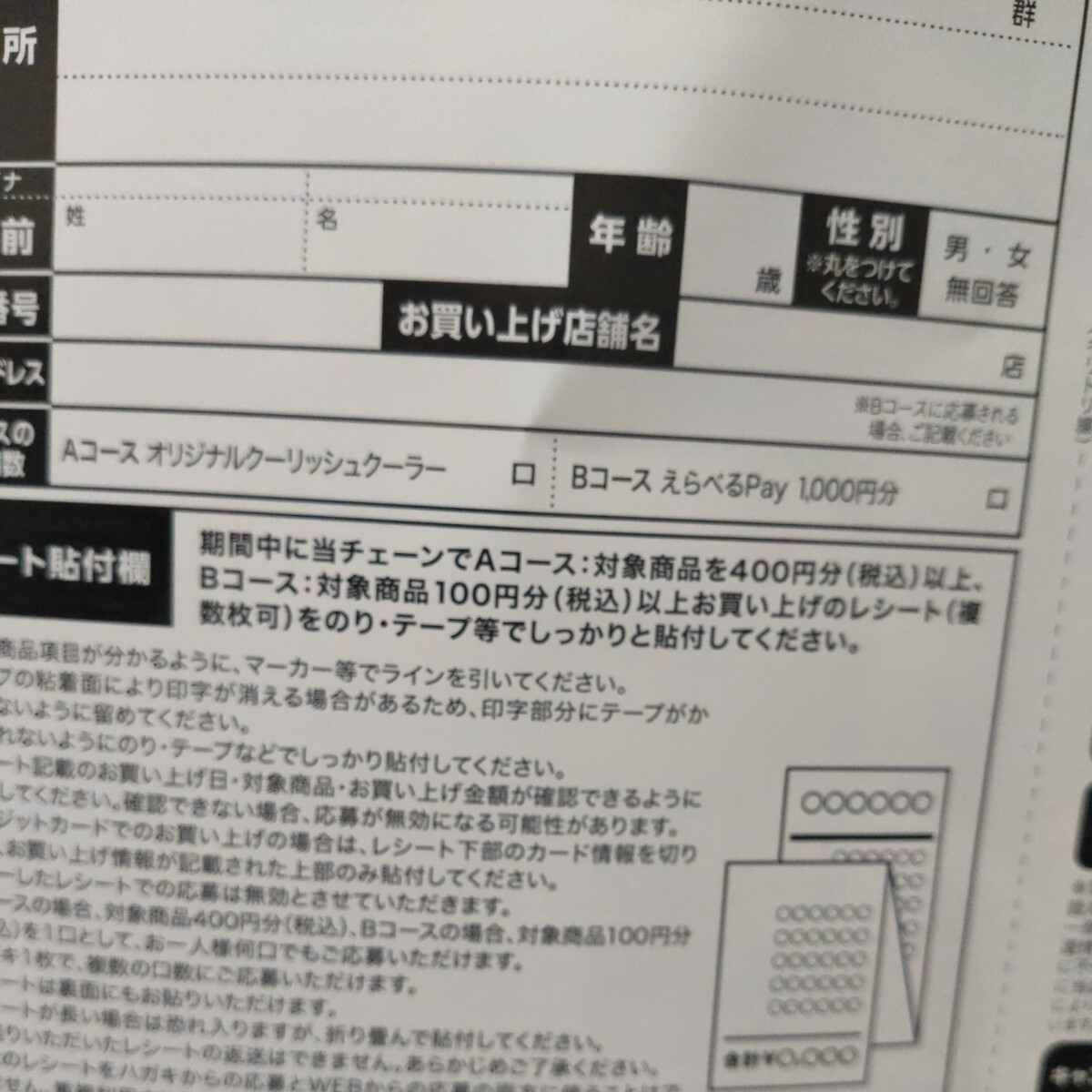 レシート懸賞応募★杏林堂限定キャンペーン！ロッテ クーリッシュ えらべるpay1000円分が80名様にあたる！2口分レシート 締切7/3_画像4