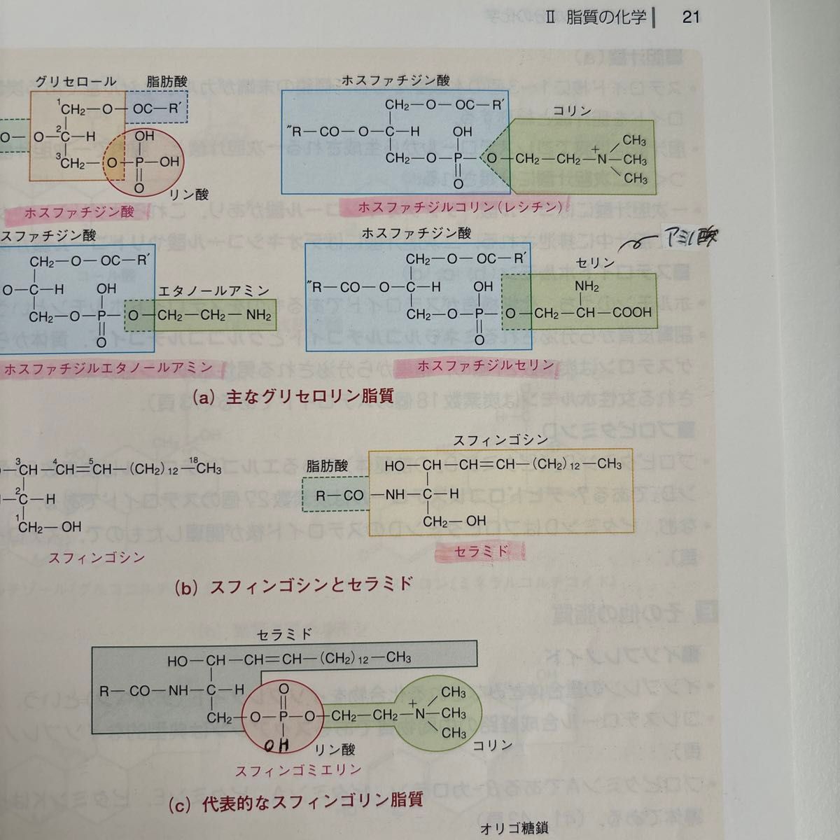 管理栄養士を目指す学生のための生化学テキスト （管理栄養士を目指す学生のための） 毎田徹夫／著