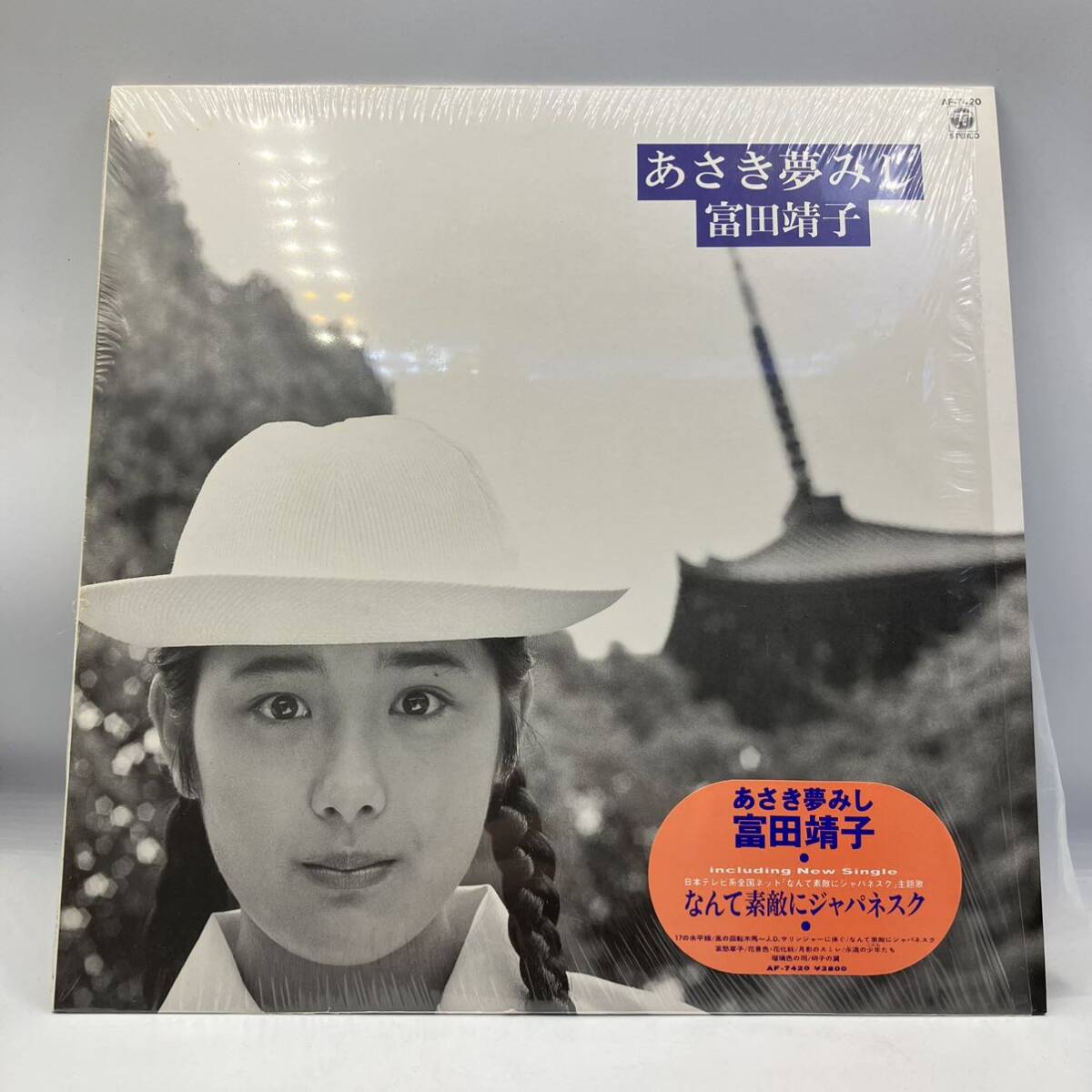A0414 [LP] Yasuko Tomita Dreaming