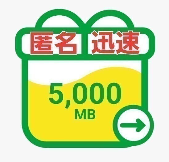 mineo パケットギフト 5GB（5,000MB）の画像1