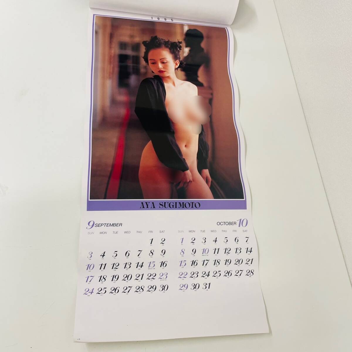 AYA SUGIMOTO Sugimoto Aya календарь 1995 не использовался хранение товар фотография большой размер календарь [0418-C]