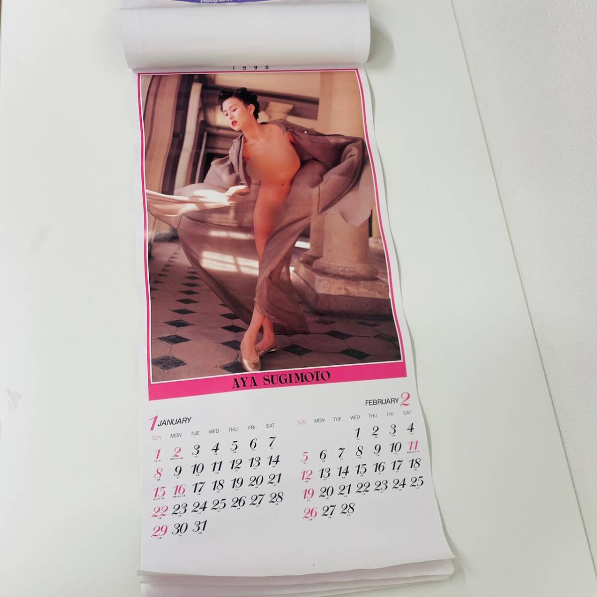 AYA SUGIMOTO Sugimoto Aya календарь 1995 не использовался хранение товар фотография большой размер календарь [0418-C]