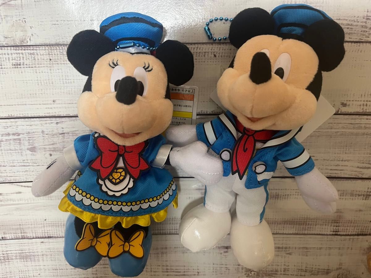 東京ディズニーリゾートドナルド パルパルーザ クワッキーダック 東京ディズニーリゾートドナルド パルパルーザ クワッキーダック