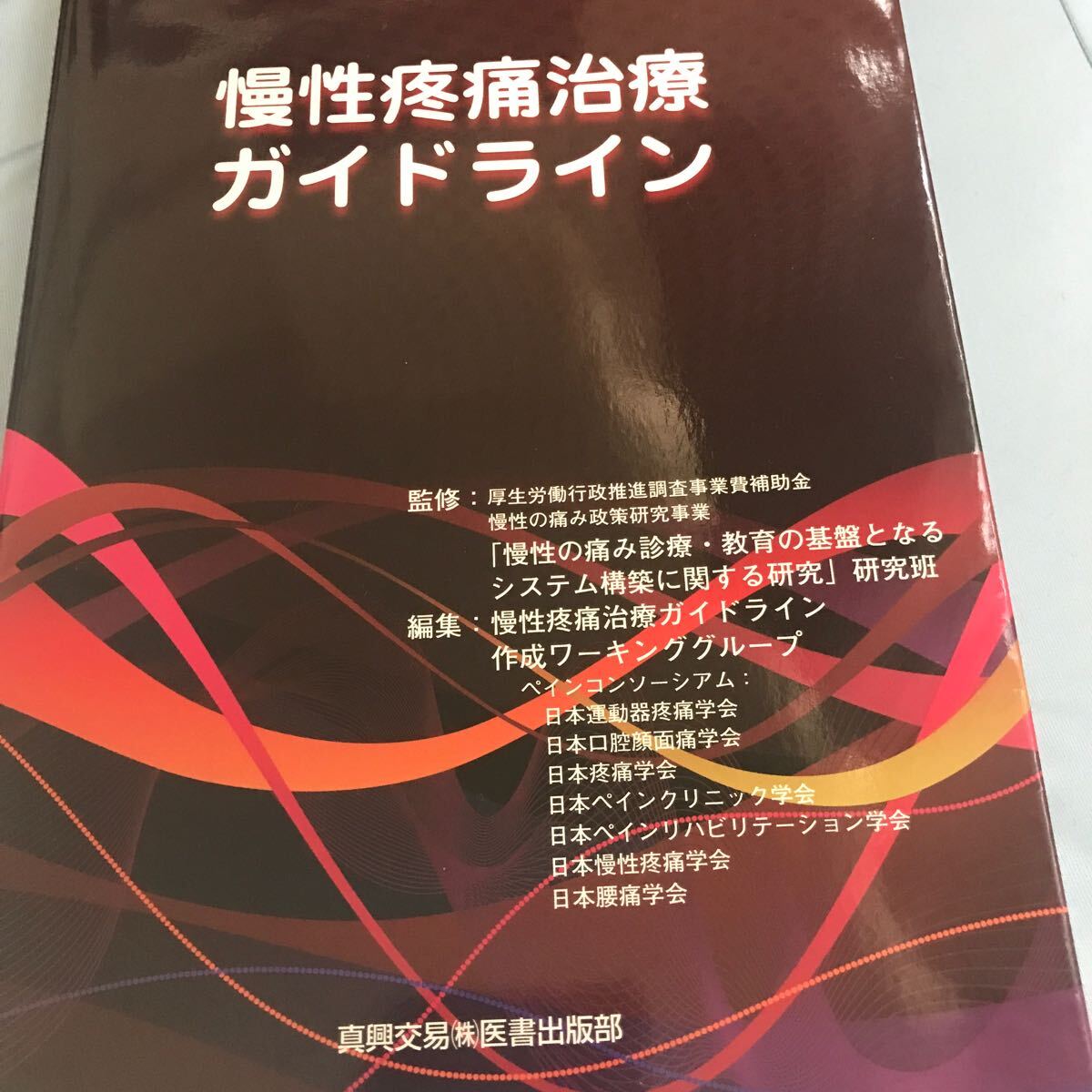 慢性疼痛治療ガイドライン☆医学書☆真興交易（株）医書出版部☆腰痛☆慢性的痛み☆治療☆専門書☆_画像5