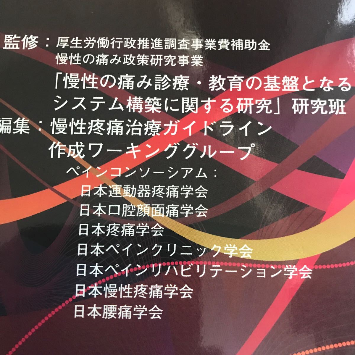 慢性疼痛治療ガイドライン☆医学書☆真興交易（株）医書出版部☆腰痛☆慢性的痛み☆治療☆専門書☆_画像7