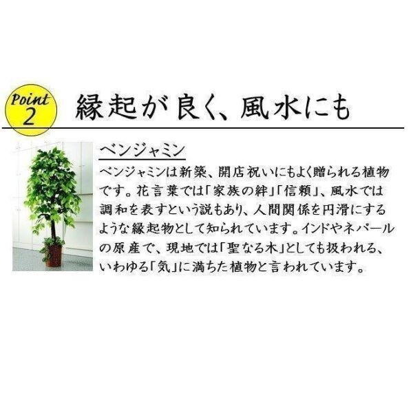 フェイクグリーン 人工観葉植物150cm ベンジャミン インテリア YBD907_画像5