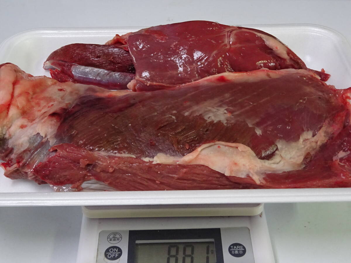 天然鹿肉　捕れたて　モモ肉　その他　８８１ｇ　　同梱可能_画像1