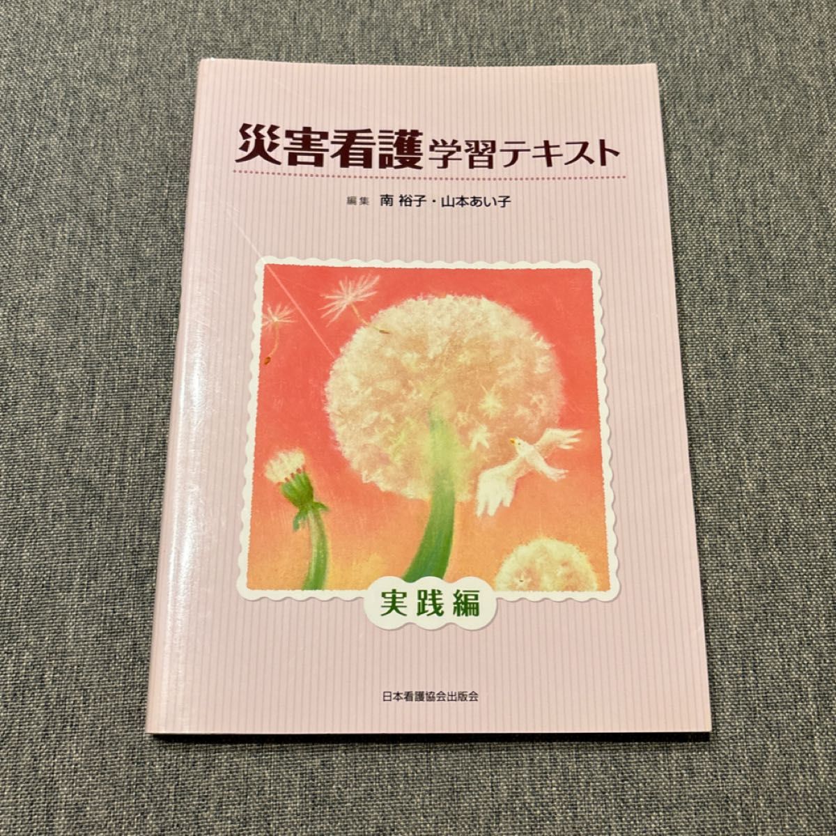 災害看護学習テキスト　実践編 南裕子／編集　山本あい子／編集