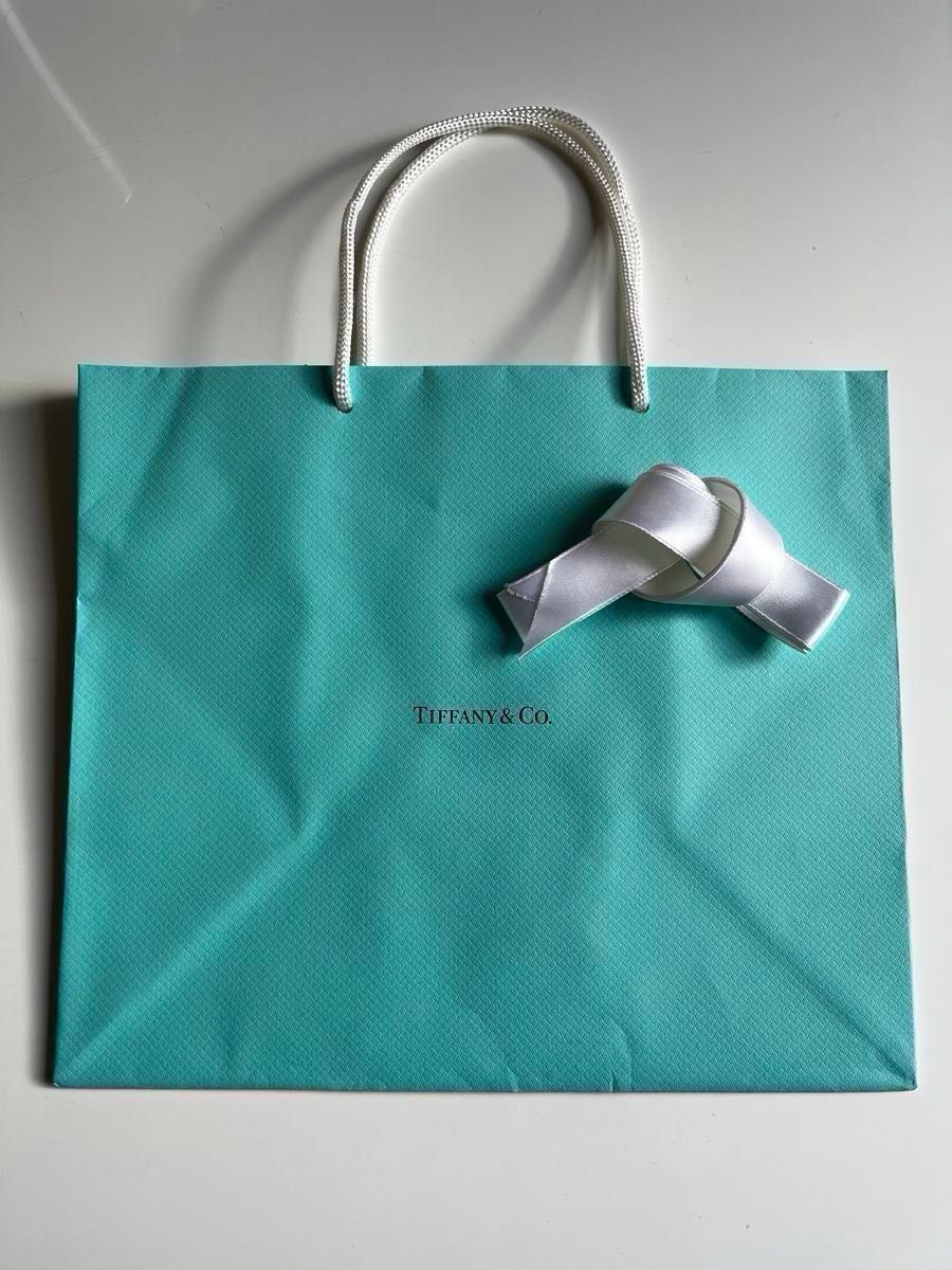 Tiffany&Co カラーブロック バックパック オフホワイト Tiffany&Co カラーブロック バックパック オフホワイト