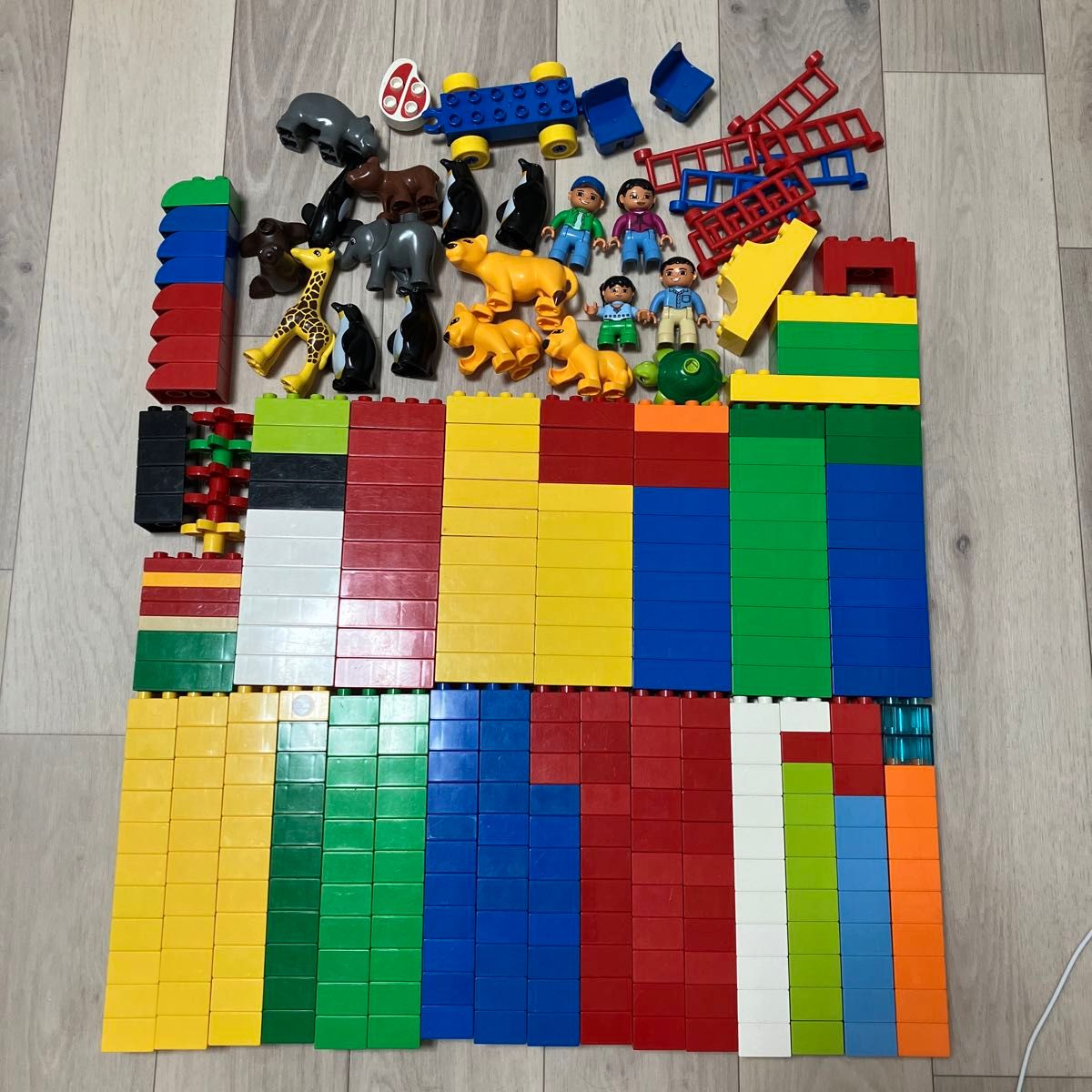 19  LEGO レゴ レゴデュプロ レゴブロック ブロック ブロックラボ　デュプロ　duplo