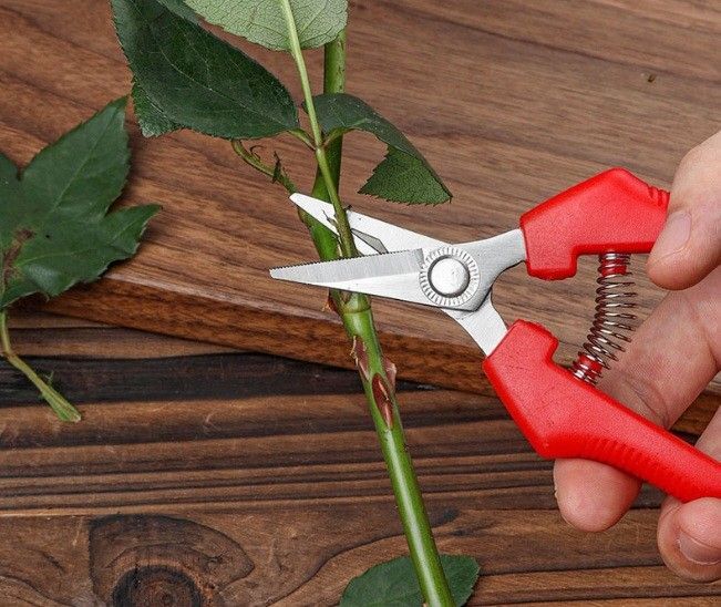 剪定用 ハサミ 枝切はさみ ばさみ 盆栽 花壇 ガーデニング 4本セット