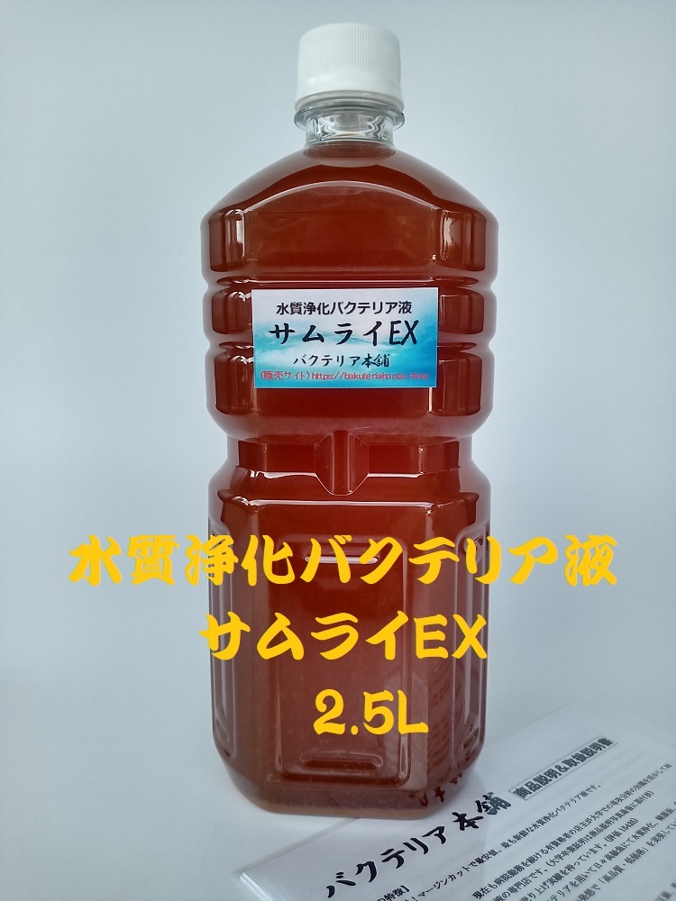 【バクテリア本舗 本店】サムライEX [2.5L]高濃度水質浄化バクテリア液(らんちゅう,めだか,グッピー,金魚,錦鯉,シュリンプ,熱帯魚,海水魚）の画像1