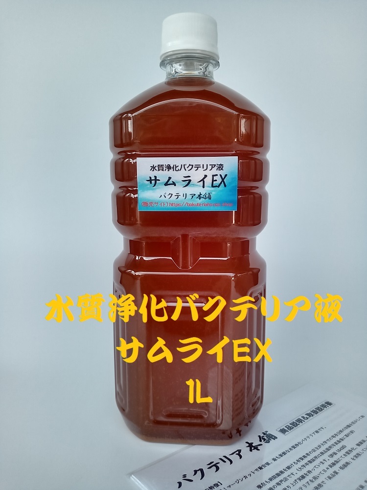 【バクテリア本舗 本店】サムライEX [1L]高濃度水質浄化バクテリア液(らんちゅう,めだか,グッピー,金魚,錦鯉,シュリンプ,熱帯魚,海水魚）_画像1