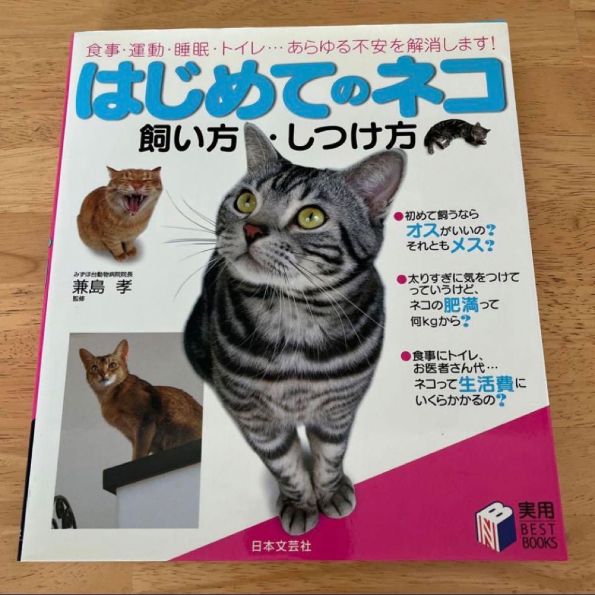 はじめてのネコ飼い方・しつけ方　食事・運動・睡眠・トイレ…あらゆる不安を解消します！ （実用ＢＥＳＴ　ＢＯＯＫＳ） 兼島孝／監修